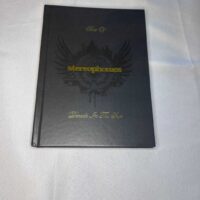 Stereophonics Best Of Decade In The Sun Box Set 2008 - Image 2