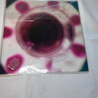 Heather Nova Live from Milky Way 10″ Vinyl Rare - Image 3