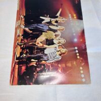 Scorpions 1980 Animal Magnetism Tour Programme - Image 3