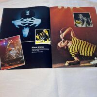 Scorpions 1980 Animal Magnetism Tour Programme - Image 5