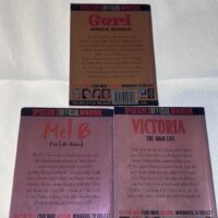 Spice Girls 3 Girl Set Official Mini Books - Image 3
