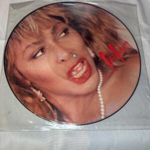 Tina Turner Typical Male 12 inch Picture Disc. Rare.