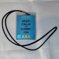 Stereophonics AAA Tour Pass - Image 3