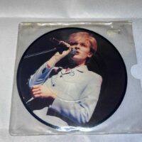 Japan David Sylvian interview picture disc 1983 rare - Image 2