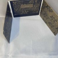 Josh Ritter ‘In The Dark’ and ‘In Good Company’ CD and DVD gatefold - Image 5