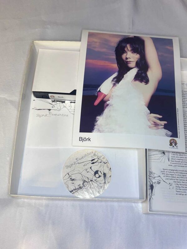 Bjork press kit for ‘Vespertine’ in a box. Rare and genuine record company promo item