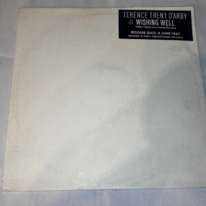 Terence Trent Darby 'Wishing Well' Advance DJ only Promo 12" 1987