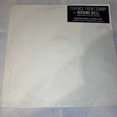 Terence Trent Darby ‘Wishing Well’ Advance DJ only Promo 12″ 1987