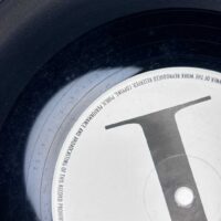 Terence Trent Darby ‘Wishing Well’ Advance DJ only Promo 12″ 1987 - Image 4
