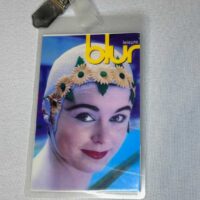 Blur Leisure AAA Excess All Areas Pass 1991 Food Records Andy Ross - Image 2