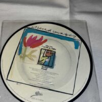 Collection of Punk, New Wave and Alternative 7″ Vinyl singles The Jam SLF Pic Discs Rare - Image 10