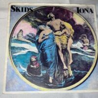 Collection of Punk, New Wave and Alternative 7″ Vinyl singles The Jam SLF Pic Discs Rare - Image 30