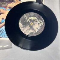 Collection of Punk, New Wave and Alternative 7″ Vinyl singles The Jam SLF Pic Discs Rare - Image 33