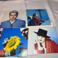 The Creatures Siouxsie Sioux Budgie Tour Itinerary Pass Fury Eyes Limited Box 7 inch Vinyl RARE - Image 10