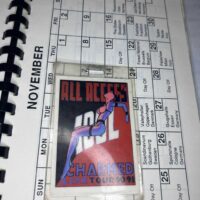 Billy Idol Charmed Life 1990 and 1991 Tour Pass, Badge, Itinerary and Party Pass. Rare. Genuine. - Image 5