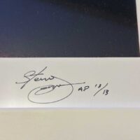 Steve Jansen Japan Exit North Escaping The Room Signed and Numbered Print Art - Image 6