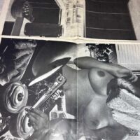 The Secret Public Original Publication Jon Savage Linder Sterling - Image 8