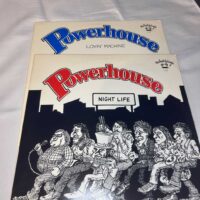 Powerhouse Vinyl Albums Night Life And Lovin’ Machine - Image 3