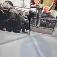 Stereophonics Performance and Cocktails Box set 10″ Vinyl Rare - Image 6