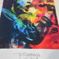 Johnny Rotten John Lydon Signed Print Rare Numbered 208/300 - Image 3