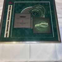 Stereophonics Just Enough Education To Perform Double Platinum Commemorative Disc Rare Genuine - Image 3