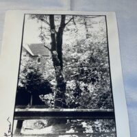 Photos of Marc Bolan Tree in Putney x 4 on Archival Paper Signed by Martyn Goodacre Photographer. Genuine. - Image 3