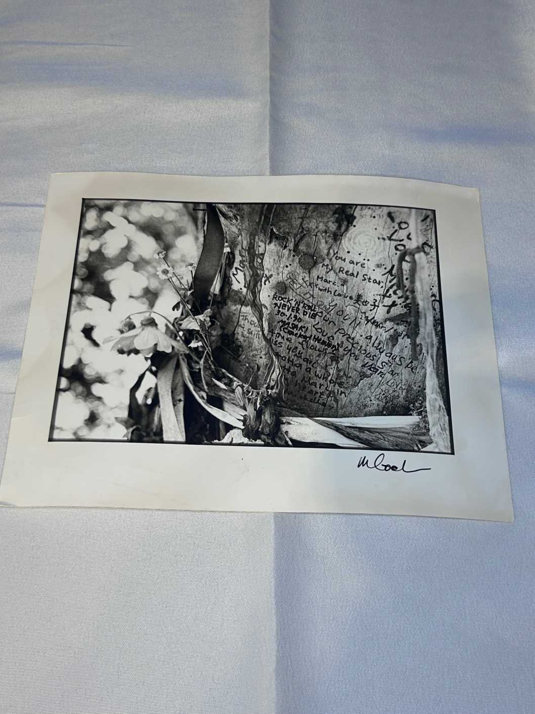 Photos of Marc Bolan Tree in Putney x 4 on Archival Paper Signed by Martyn Goodacre Photographer. Genuine.