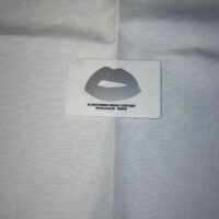 Eurovision Song Contest Access Card Stockholm 2000 - Image 2