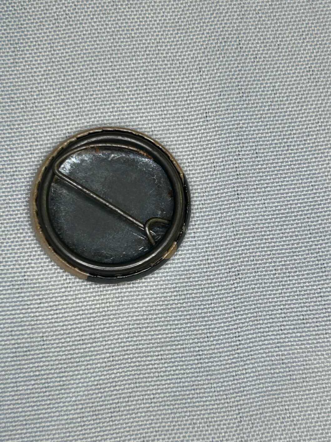 Siousxie And The Banshees Siouxsie Sioux Badge Genuine Punk